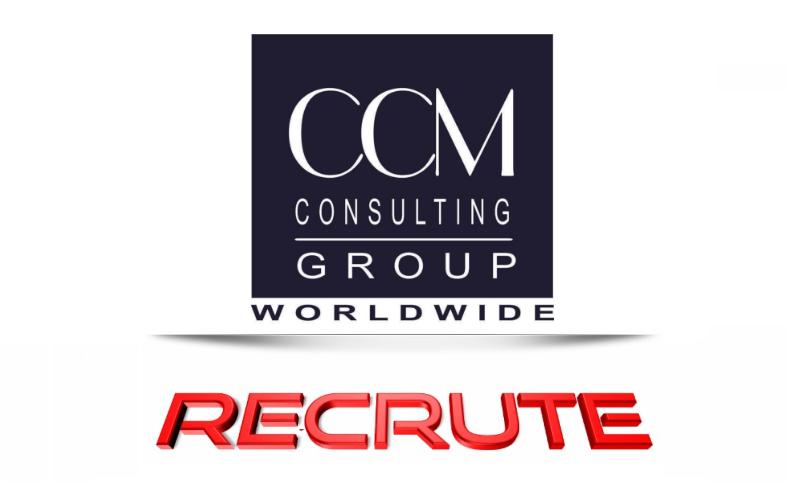 ccm consulting group      recrute  annonce n u00b02